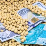 SNAG11 eleva dividendos a valor recorde; confira quando será o pagamento