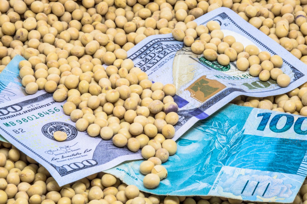 SNAG11 eleva dividendos a valor recorde; confira quando será o pagamento