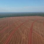 SNFZ11 mantém valor de dividendos; veja quando será o pagamento deste mês