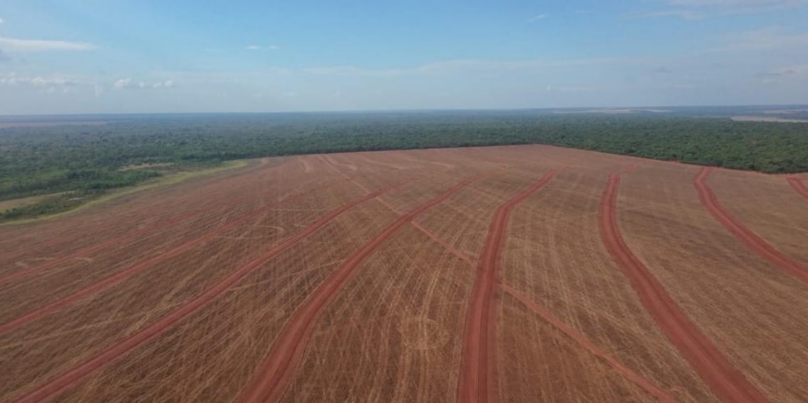 SNFZ11 mantém valor de dividendos; veja quando será o pagamento deste mês