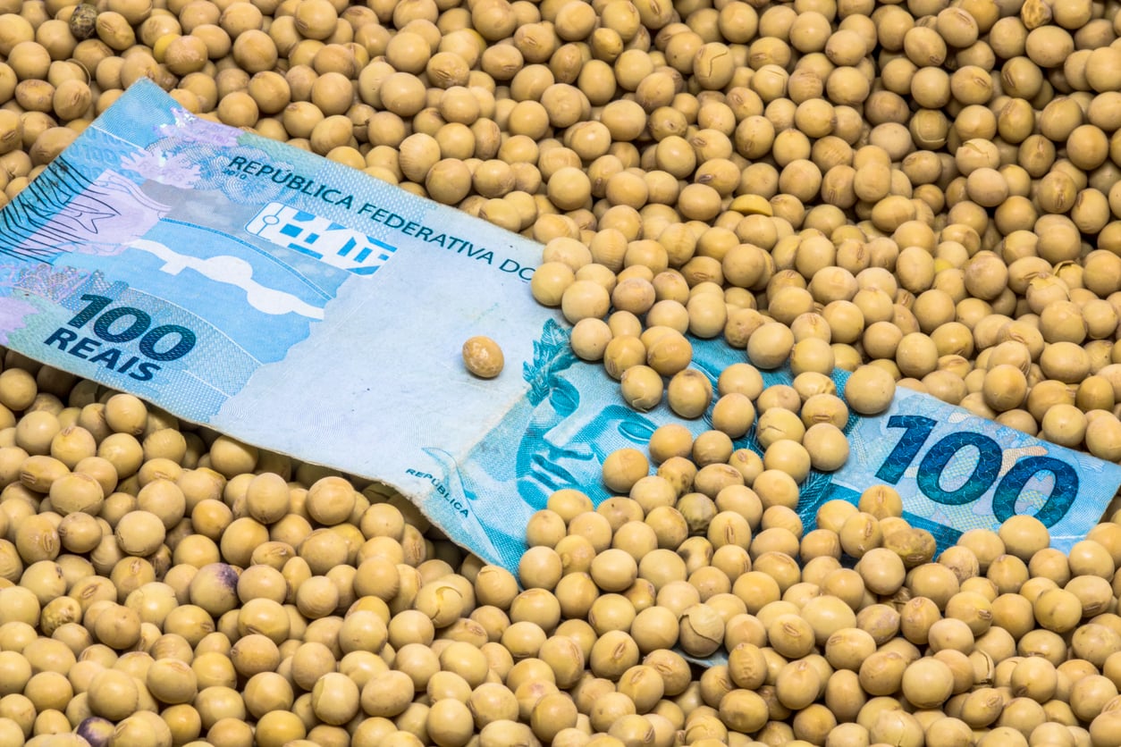 SNFZ11: Fiagro pagará rendimentos de 1,01%; veja valor