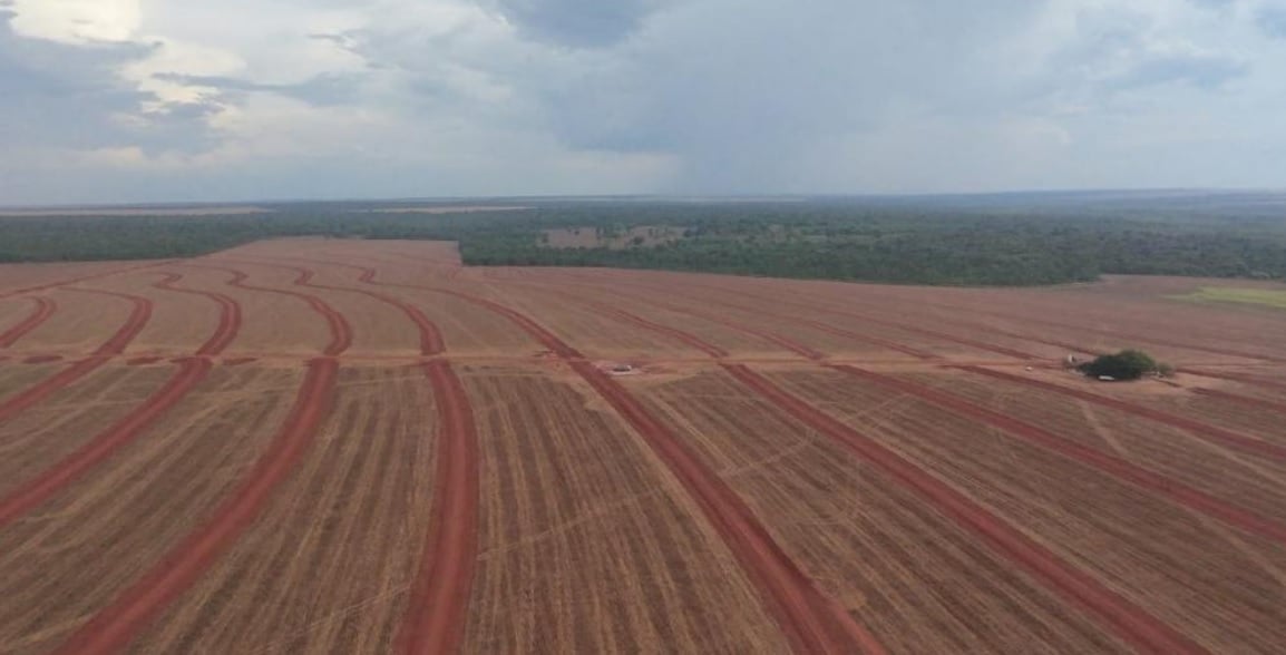 SNFZ11 dobra liquidez e supera 5 mil cotistas