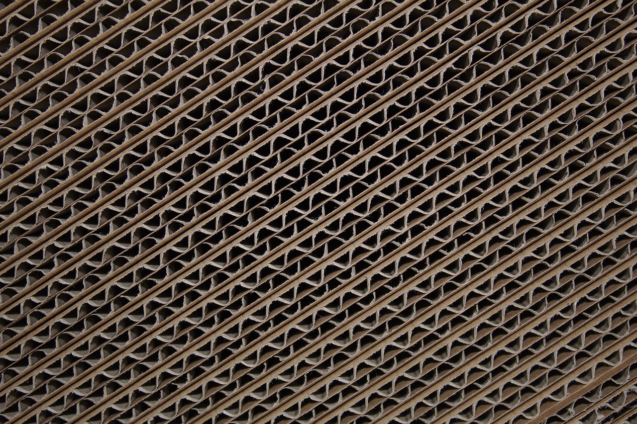 SP consolida força em galpões com vacância menor e aluguel em alta