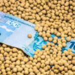 SNAG11 eleva dividendo a R$ 0,20 e reporta lucro robusto