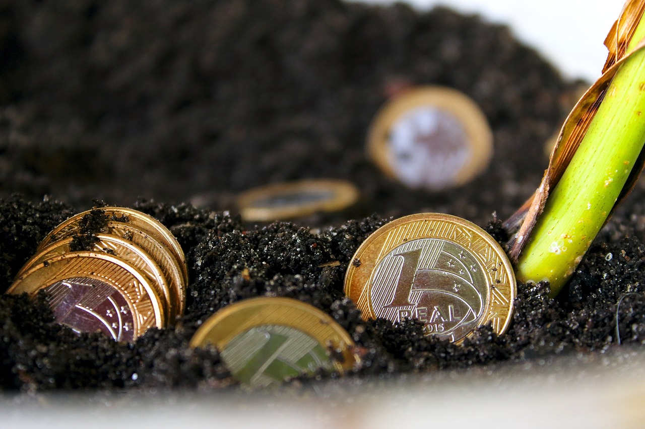 TOP11, GCRI11 e outros cinco FIIS pagam dividendos hoje; veja detalhes - Foto: Pixabay