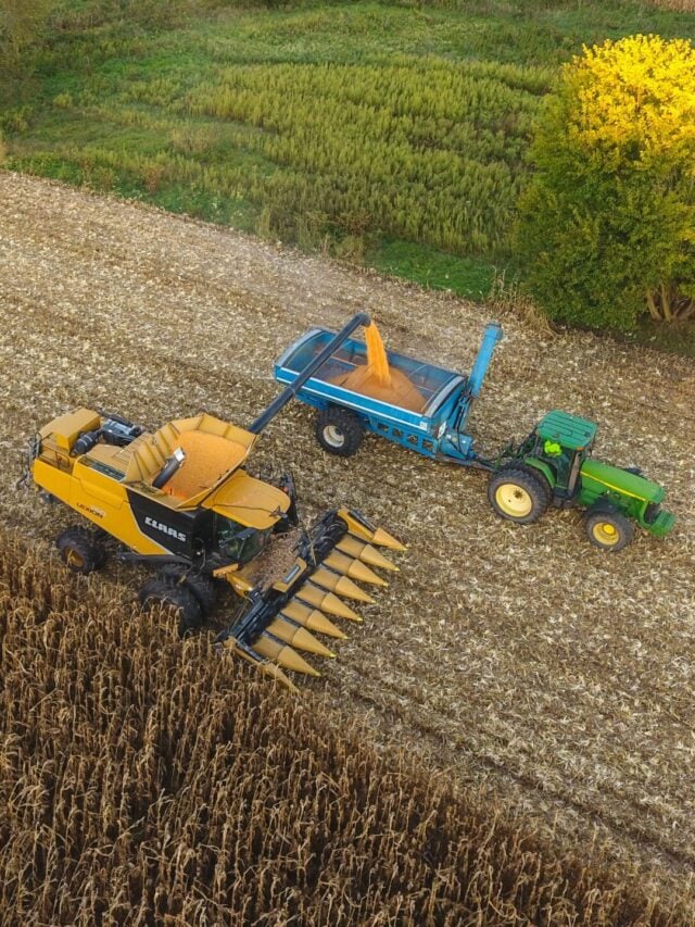 Fiagro SNFZ11- Foto: Unsplash