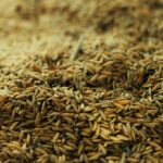 Fiagros sobem em janeiro e somam R$ 11,7 bi em estoque